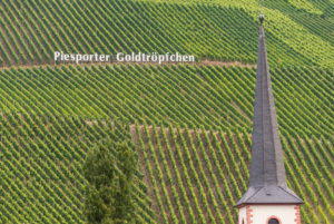 Europa, Deutschland, Rheinland-Pfalz, Landkreis Bernkastel-Wittlich, Mittelmosel, Mosel, Piesport, Weinbauort im Anbaugebiet Mosel Europa, Deutschland, Rheinland-Pfalz, Landkreis Bernkastel-Wittlich, Mittelmosel, Mosel, Piesport, Weinbauort im Anbaugebiet Mosel
